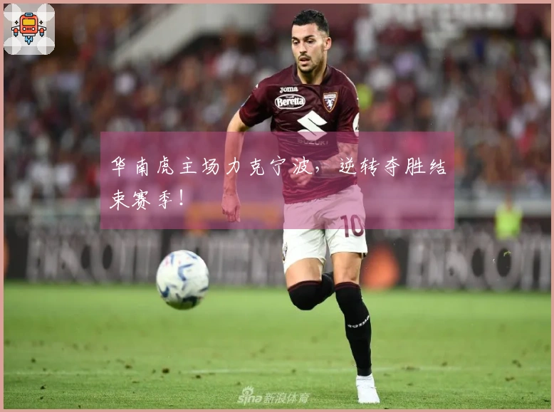 华南虎主场力克宁波，逆转夺胜结束赛季！